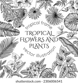 Tropical garden vector frame in engraving style. Anthurium, aralia, protea, palm and banana leaves, orchid, liviston, sabal, plumeria, zantedeschia, strelitzia, hibiscus