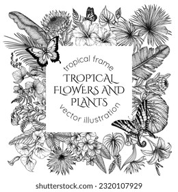 Tropical garden vector frame in engraving style. Anthurium, protea, palm and banana leaves, orchid, liviston, frieze, sabal, plumeria, zantedeschia, hibiscus, lilies, butterflies
