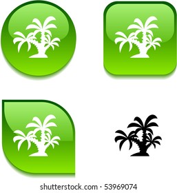 botões de web brilhantes tropicais vibrantes.