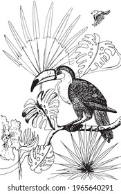 Tropical graphic illustration of a toucan in a rainforest in ink