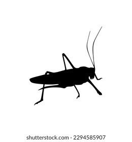 Tropical Grasshopper black fill silhouette icon, top choice of animal vector illustration in trendy style. Editable graphic resources for many purposes.