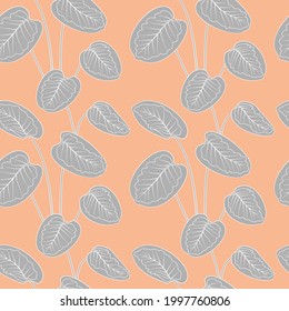 Tropical gray calathea leaves white outline drawing seamless pattern. Pink pastel background. Jungle foliage line art texture. Stock vector illustration.