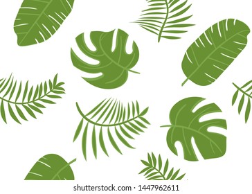 Tropical green banana leaves. Seamless vector pattern with monstrea, banana leaves on white background.
