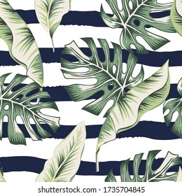 Tropical green banana, monstera palm leaves, striped background. Vector seamless pattern. Botanical illustration. Exotic jungle plants. Summer beach floral design. Paradise nature