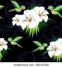 tropical green birds hummingbirds and white flowers vector black background seamless pattern