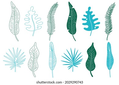 Tropical green and blue leaves silhouettes vector set isolated on a white background.