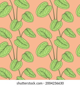 Tropical green calathea leaves black outline drawing seamless pattern. Pink background. Jungle foliage line art texture. Stock vector illustration.