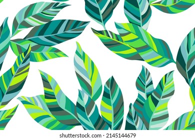 Diseño retro de impresión textil de patrón sin fisuras de foliaje verde tropical. El resumen deja un ornamento interminable. Hojas de palmeras, patrón de foliage sin soldadura de selva para impresión textil. Ilustración botánica