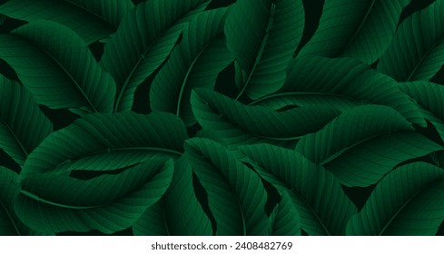 Tropical green gradient vector background with banana leaves. Botanical card, poster, banner, wallpaper, cover