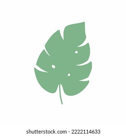 Tropical green leaf. African plant. Branch of palm tree.