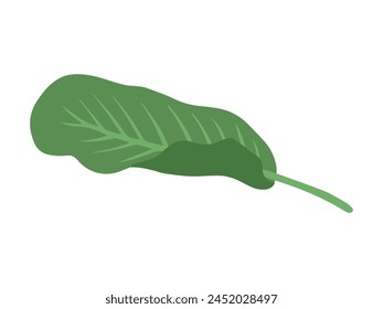 Tropical Green Leaf Background Illustration