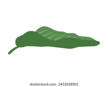Tropical Green Leaf Background Illustration