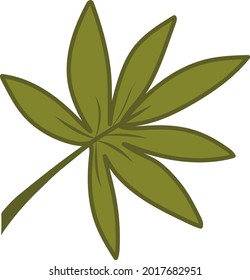 hoja verde tropical con cinco hojas en fondo transparente