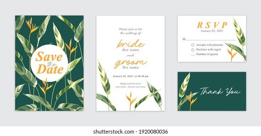 Tropical green leaf and flower background template. Vector set of natural element for wedding invitations, greeting card, envelope, voucher, brochures and banners design.
