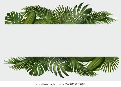 Tropical green leaf frame on white background. Vector illustration