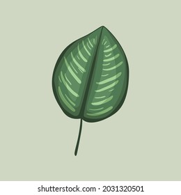 Diseño aislado de hoja verde tropical. Ilustración