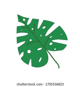 hoja verde tropical aislada en fondo blanco