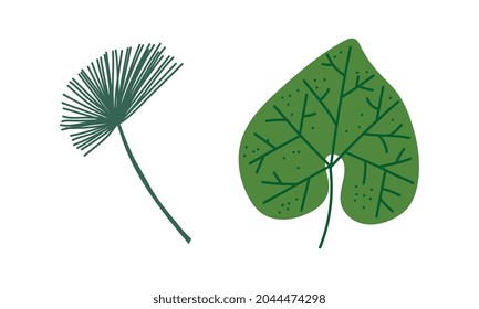 Tropical Green Leaf on Stem as Exotic Flora and Foliage Vector Set
