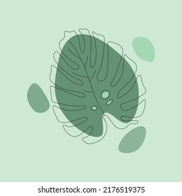 Tropisches grünes Blatt. Vektorgrafik.