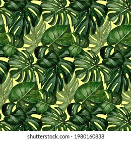 Tropical green leaves background pattern