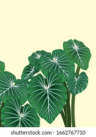tropisch-grüne Blätter, Hintergrund Vektorillustration