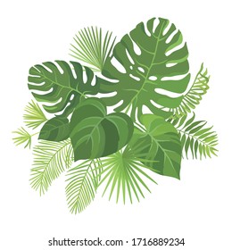 Tropical green leaves bouquet on white background. Palm branches composition. Vector illustration.