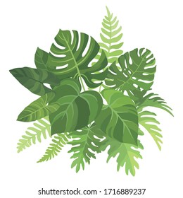 Tropical green leaves bouquet on white background. Palm branches composition. Vector illustration.