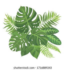 Tropical green leaves bouquet on white background. Palm branches composition. Vector illustration.