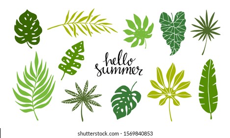 Tropical green leaves, branches set isolated on white background. Handwritten font hello summer