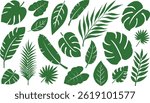 Tropical Green Leaves Collection vector

