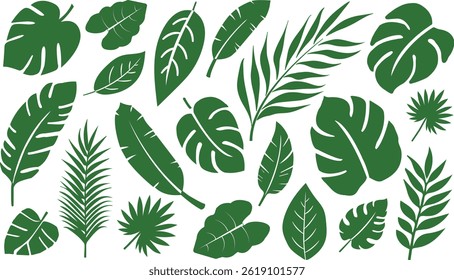 Tropical Green Leaves Collection vector

