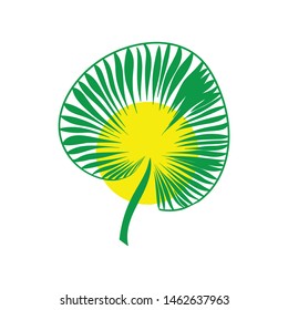 Tropical green leaves. Design elements on white background. Graphic nature symbol. Vector illustration.