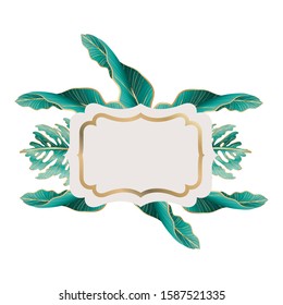 Tropical green leaves design, Nature summer plant botany tree and decoration theme Vector illustration