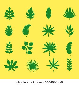 Tropical green leaves of different tree species. Jungle leaves.
