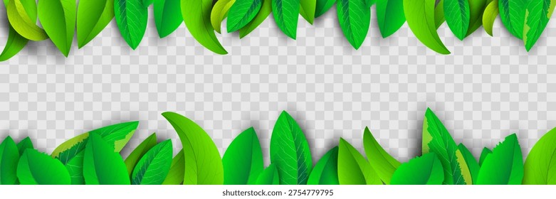 Tropical Green Leaves Frame Background