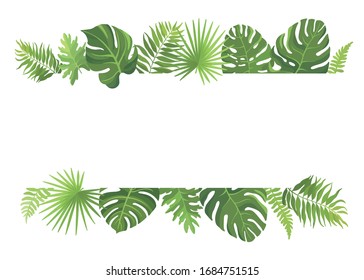 19,038 Monstera leaf border Images, Stock Photos & Vectors | Shutterstock