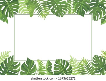 Tropical green leaves frame template. Floral border with place for text. Vector illustration.