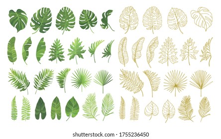 Tropical green leaves and hand drawn line art graphic set isolated om white background. Vector illustration.