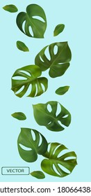 Tropical green leaves monstera on a blue background. Banner for perfumes, cosmetic products, medicine. 3d realistic monstera leaf. Vector illustration.