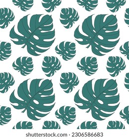 Tropical green leaves monstera seamless pattern on a white background. Vector hand drawn print for design, fabric, textile, wallpapers