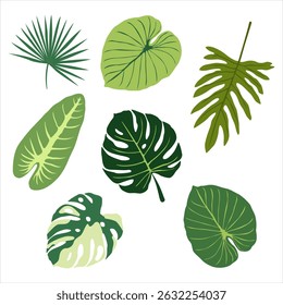 Tropical green leaves on a white background.  Exotic tropical leaves and branches.  Vector illustration.