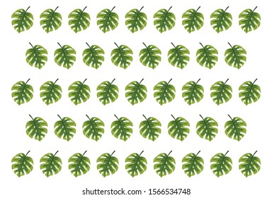 Tropical green leaves pattern. Trendy print for summer. Usable for wallpaper, banner, poster, postcard. 