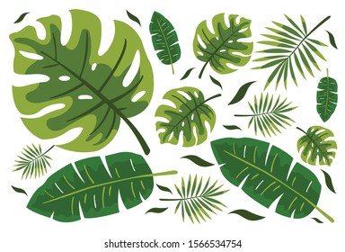 Tropical green leaves pattern. Trendy print for summer. Usable for wallpaper, banner, poster, postcard. 