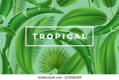 Tropical green leaves seamless pattern 3D realistic design, exotic jungles summer spring foliage. Hawaiian greenery, botanical paradise, monstera and palm tree flora, repeat texture, banner design