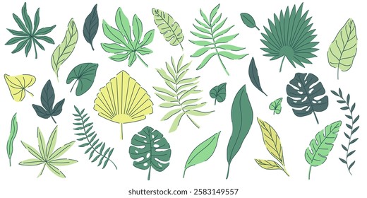 tropical green leaves set. monstera, palm, fern, ivy in various shapes and sizes. simple flat style. Vector illustration. Perfect for prints, packaging, invitations, branding, backgrounds, textile