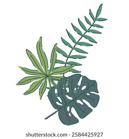 tropical green leaves set. monstera, palm, fern, ivy in various shapes and sizes. simple flat style. Vector illustration. Perfect for prints, packaging, invitations, branding, backgrounds, textile