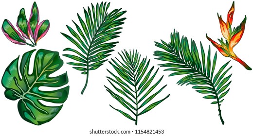 Tropical green leaves in a vector style isolated. Vector leaf for background, texture, wrapper pattern, frame or border.