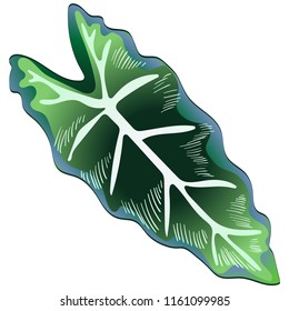 Tropical green leaves in a vector style isolated. Vector leaf for background, texture, wrapper pattern, frame or border.