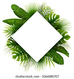 Tropical green leaves with white frame place for text isolated on white background