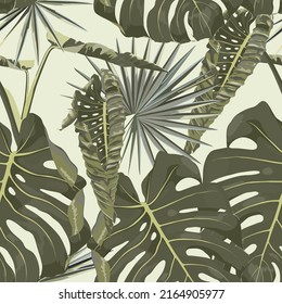 Hojas tropicales verdes de monstera, divertida ilustración de palmas. Fondo de patrón exótico sin fisuras.